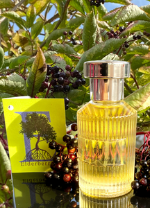 Perfume: Elderberry