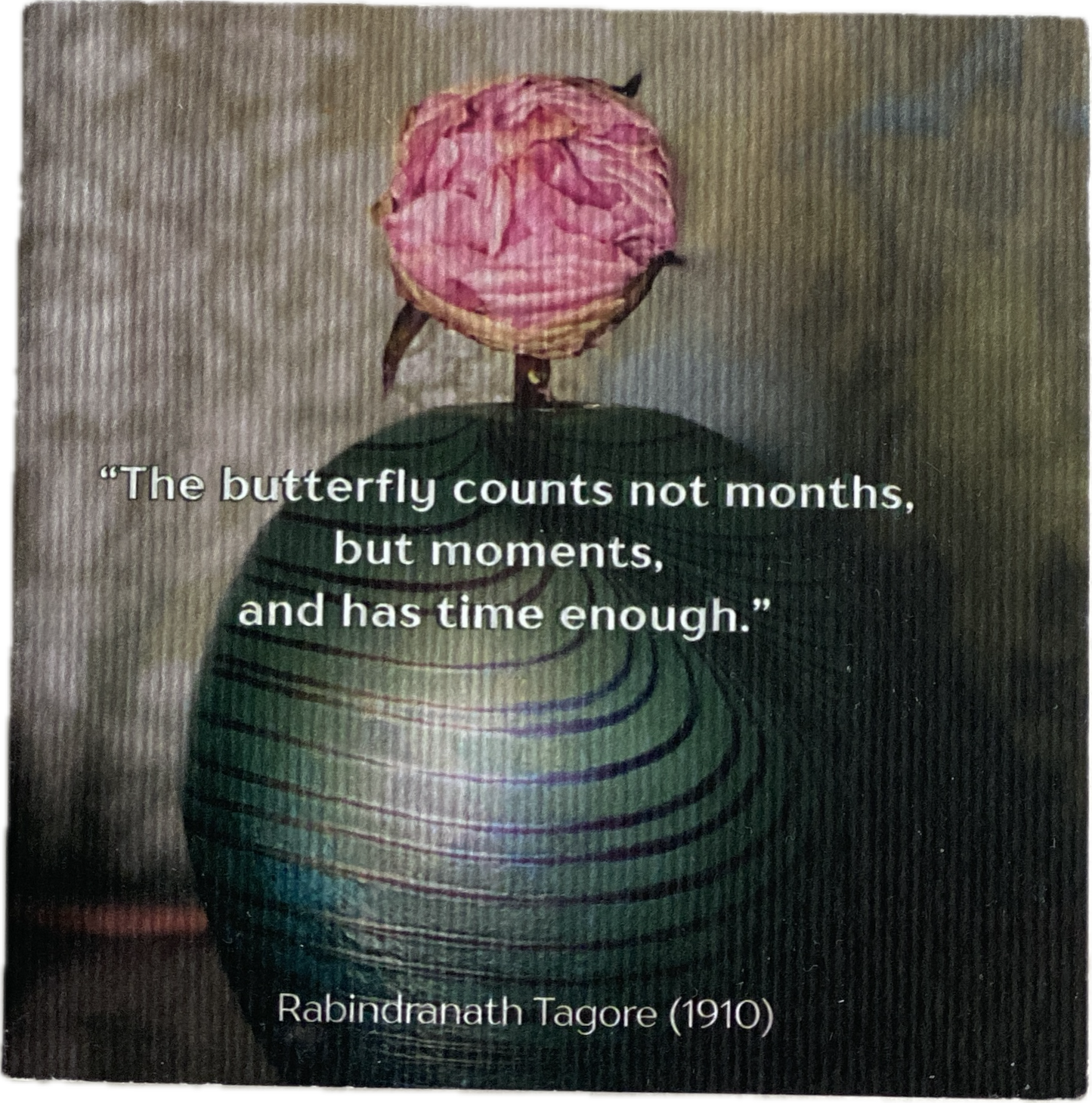 Moisture Surge Serums Gift Box