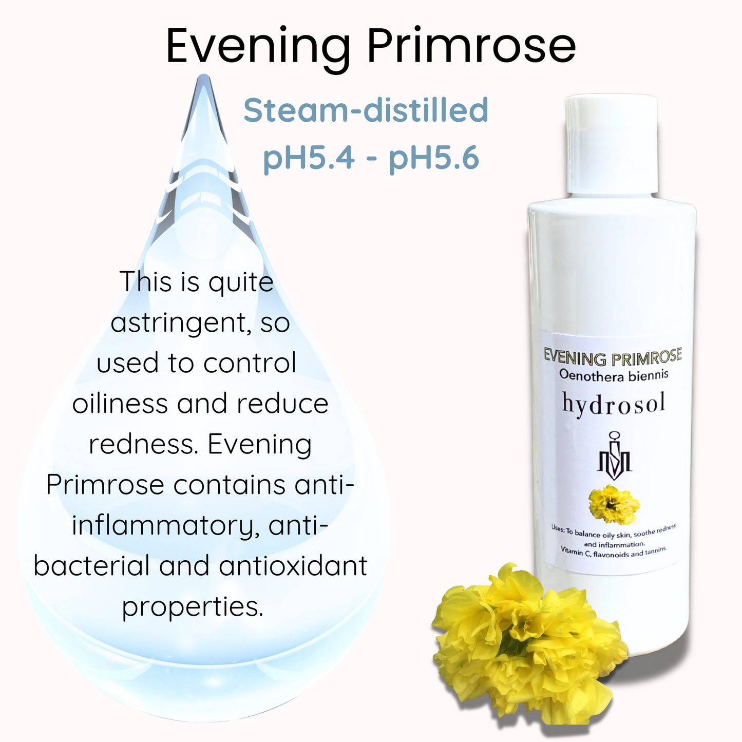 Evening Primrose hydrosol 250ml for skin cleansing