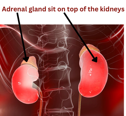 What will happen if a person with Addison's disease is exposed to high stress?